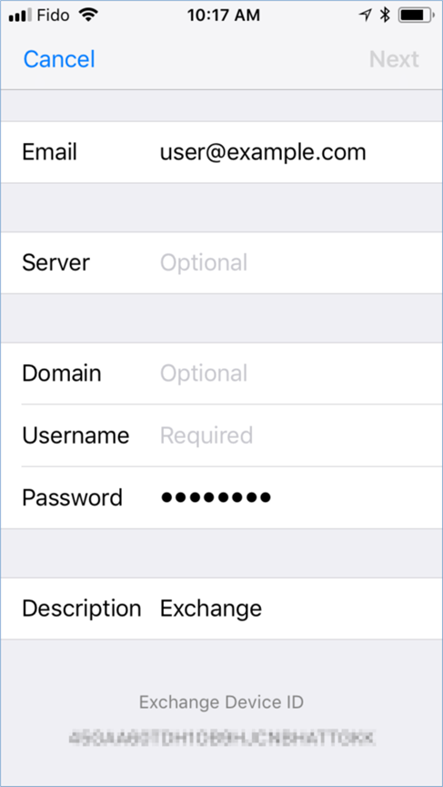 iOS Server Parameter Input View